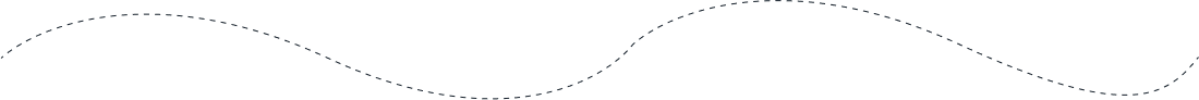 Step flow line
